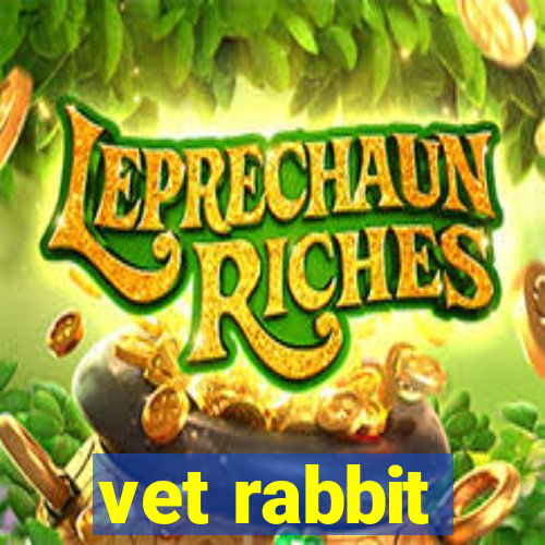 vet rabbit